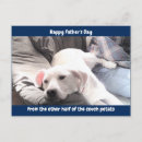 Zoek naar labrador puppy briefkaarten hondenliefhebber