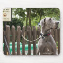 Zoek naar pug hond muismatten Dier