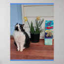 Zoek naar katachtig posters Voor kinderen