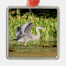 Zoek naar reiger ornamenten Dier