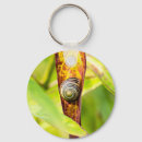 Zoek naar slak accessoires Natuur