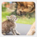 Zoek naar katten afbeeldingen stickers Liefde