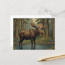 Zoek naar eland briefkaarten Wild