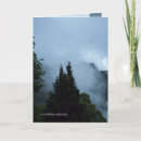 Zoek naar zeeland kaarten Bomen