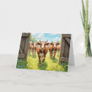 Zoek naar koeien kaarten Landbouw