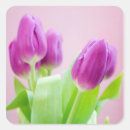 Zoek naar paarse tulpen stickers Knol