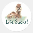 Zoek naar grappige eend stickers Vogel