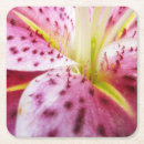 Zoek naar bright onderzetters Roze
