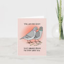 Zoek naar grappige duif kaarten Voor iedereen