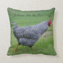 Zoek naar kippen kussens Land