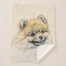 Zoek naar pom dekens Hond