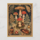 Zoek naar paddestoelen briefkaarten Elk persoon