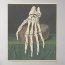 Zoek naar skeletten posters Vintage