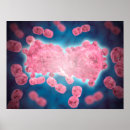 Zoek naar digitaal geproduceerd afbeelding posters Kunstwerk