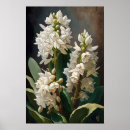 Zoek naar witte bloem posters Voor iedereen