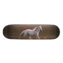 Zoek naar paarden skateboards Elk persoon