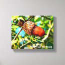 Zoek naar eikel kunst Natuur