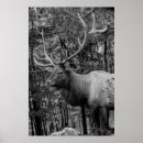 Zoek naar eland posters Modern