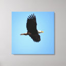 Zoek naar adelaars vleugels posters Zout
