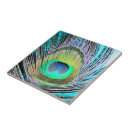 Zoek naar pauw tegels Veren