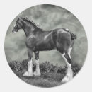 Zoek naar steele stickers Paard