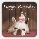 Zoek naar franse buldog stickers Dieren