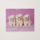 Zoek naar close up puzzels Schattig