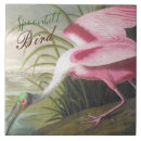 Zoek naar illustrations tegels Vogel