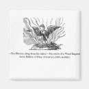 Zoek naar as magneten Vogel