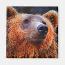 Zoek naar bruine kleur magneten Dier