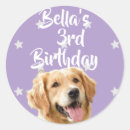 Zoek naar kleine huisdieren stickers Honden