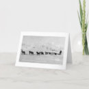 Zoek naar slee hond kaarten Dieren