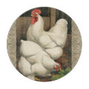 Zoek naar kip keukengerei Rooster