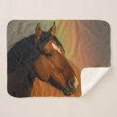 Zoek naar hengst dekens Paard