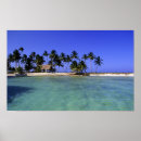 Zoek naar tropisch landschap posters Caribboon