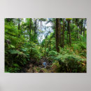 Zoek naar regenwouden posters Voor haar