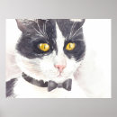 Zoek naar katten illustratie posters Tomcat