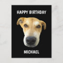 Zoek naar grappige hond gelukkige verjaardag briefkaarten Feest