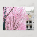 Zoek naar bronnen briefkaarten Stad