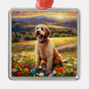 Zoek naar labradoodle ornamenten Honden