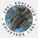 Zoek naar koala crafts knutsel hobby Wild