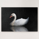 Zoek naar zwarte zwaan puzzels Water