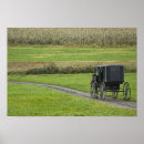 Zoek naar landweg posters Boerderij