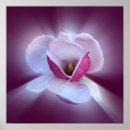 Zoek naar roze magnolia posters Groen