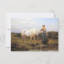 Zoek naar paard vrouw kaarten Pony
