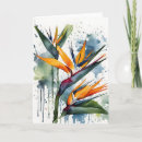 Zoek naar paradijsvogel kaarten Waterverf