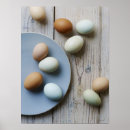 Zoek naar eieren posters Voedsel