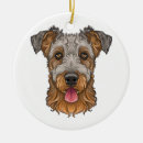 Zoek naar airedale ornamenten Honden
