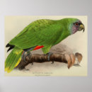Zoek naar love birds kunst Elk persoon