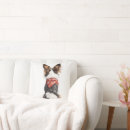 Zoek naar papillon kussens Illustratie